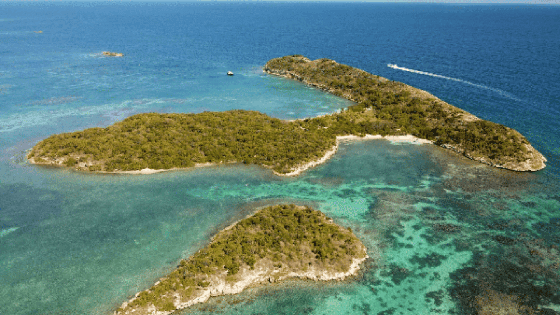 Great Bird Island