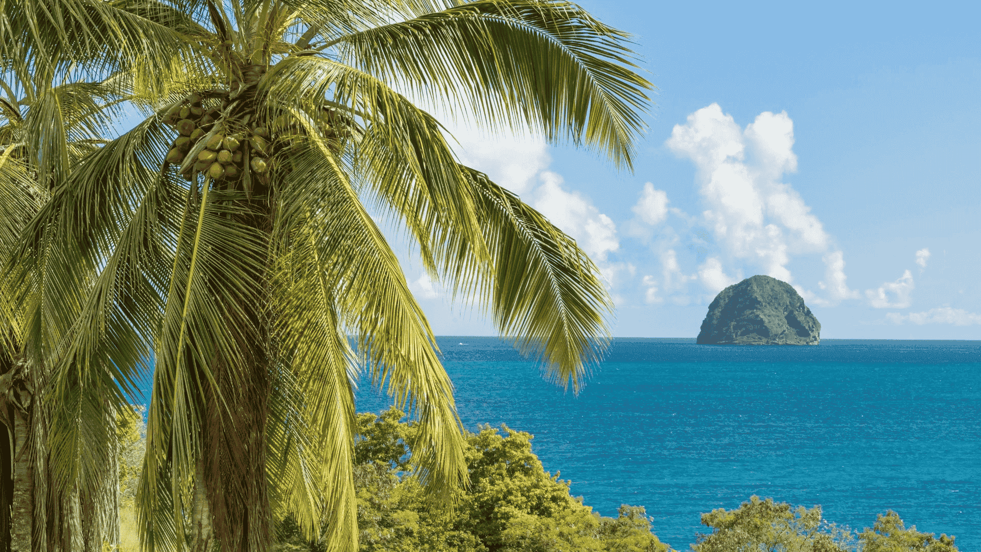martinique
