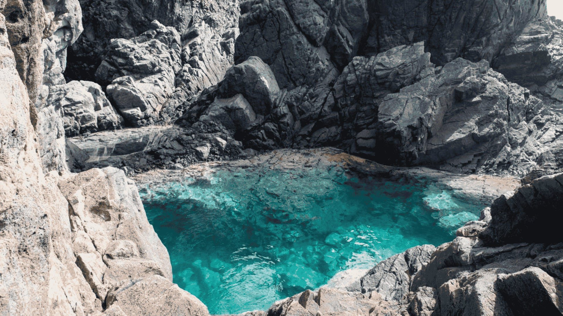 piscines naturelles