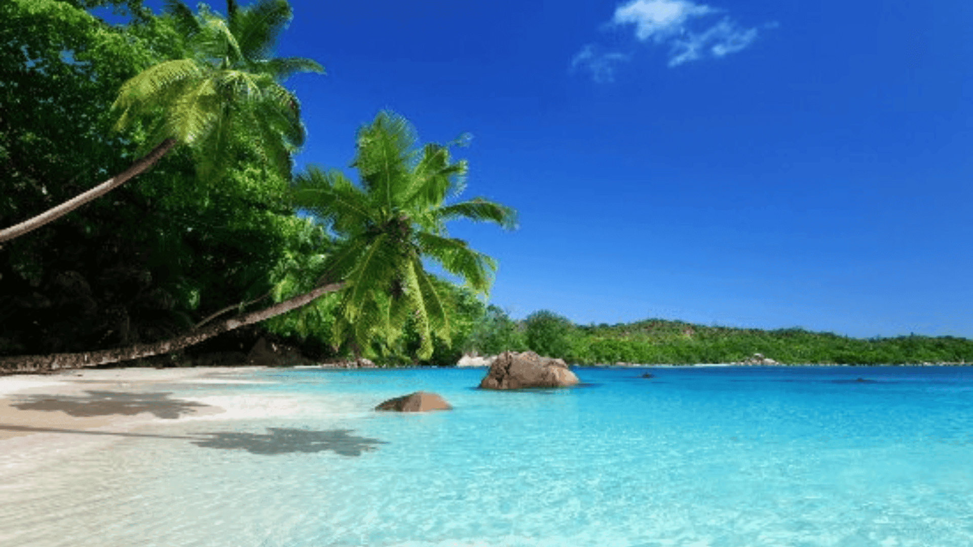 Plage des Salines