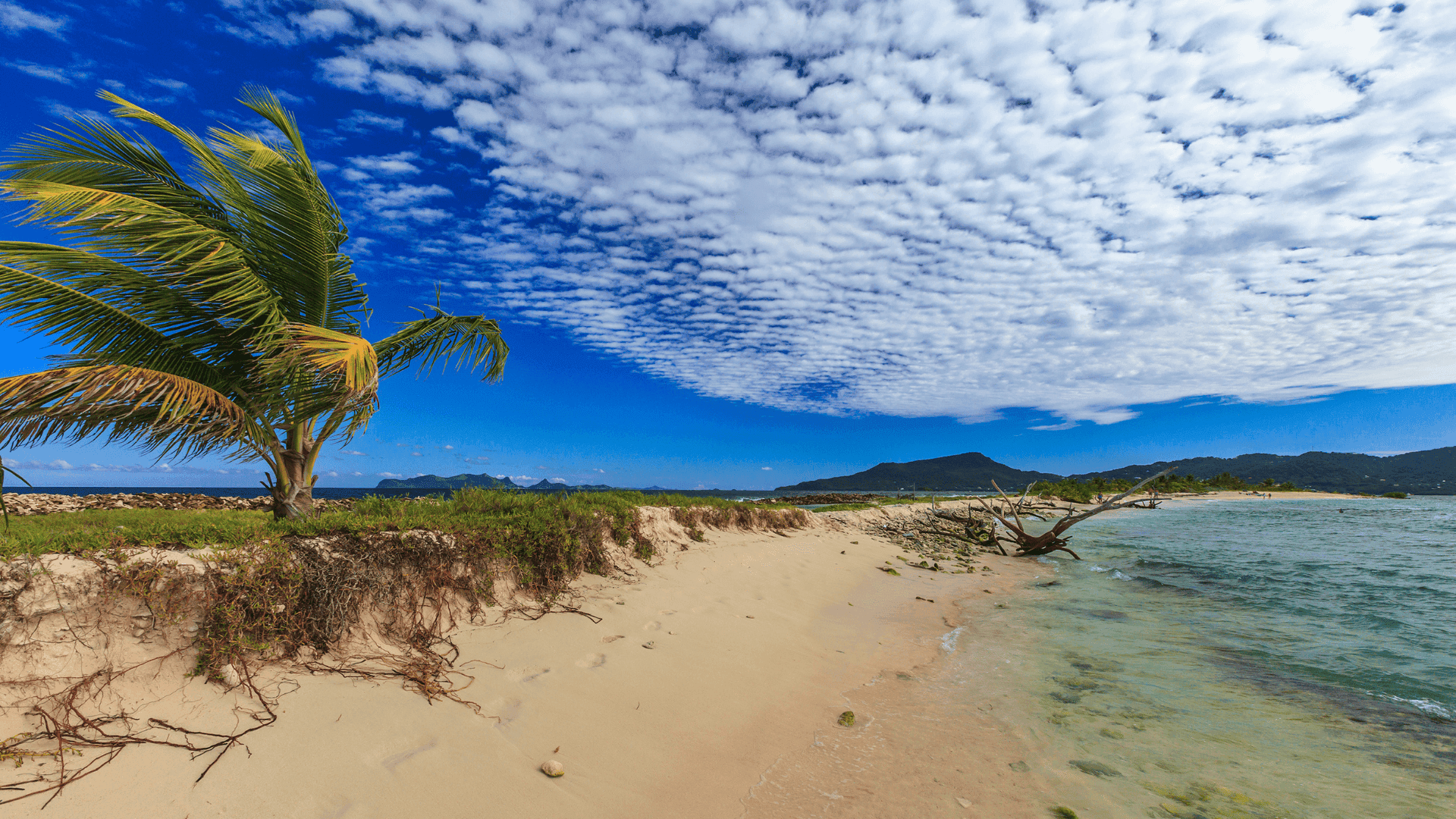 Sandy Island
