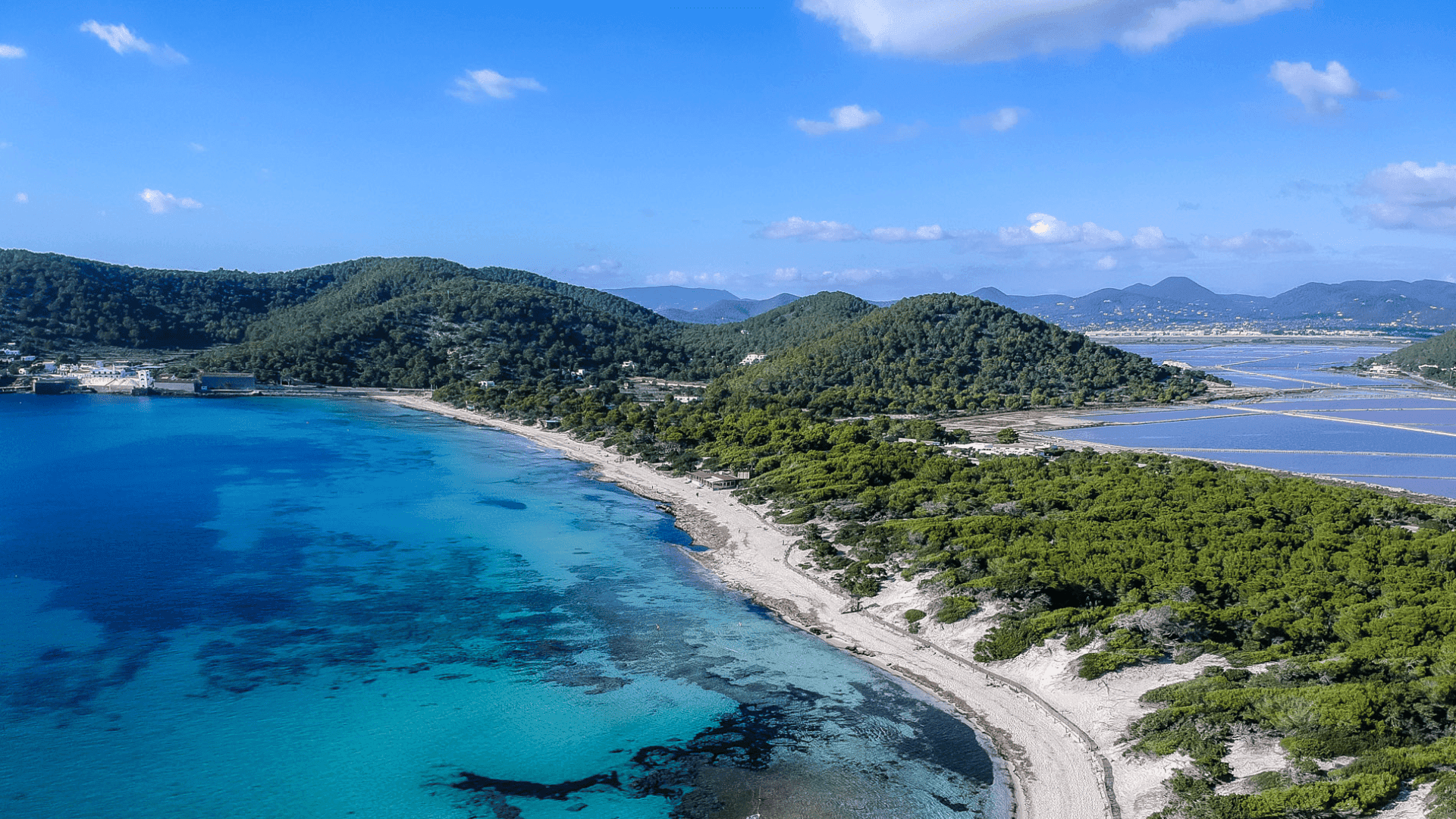 Ses Salines
