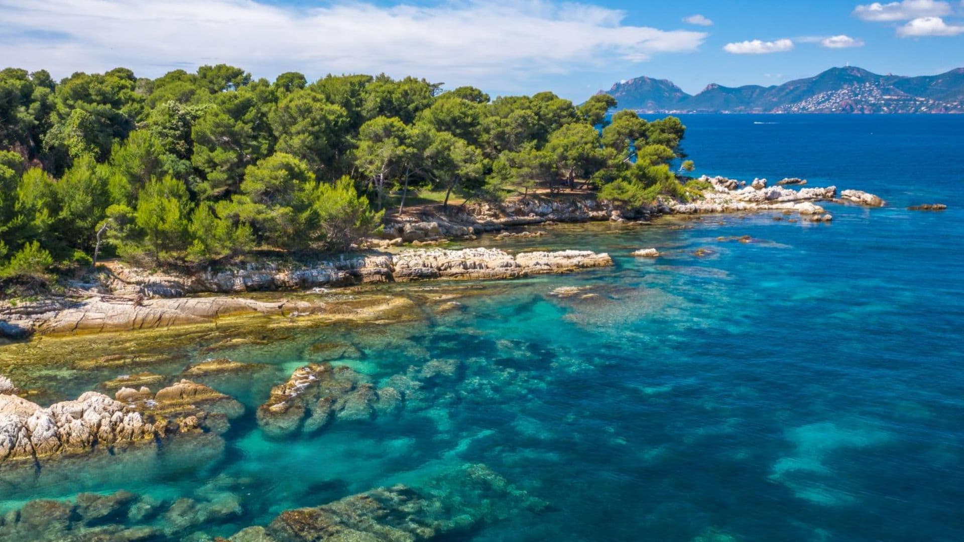 lerins islands in cannes